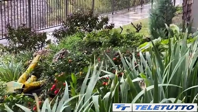 Video News - REGIONE, FONDI CONTRO IL DISSESTO IDROGEOLOGICO