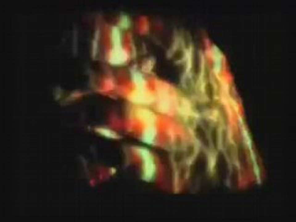 DVD Cosmogonies - Hugo Verlinde