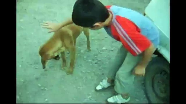 THK Model Uçak Kursu Tokat Belge Töreni 1