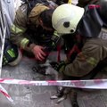 İstanbul’da bir binada çıkan yangın sonucu mahsur kalan kediyi kurtaran kahraman itfaiye ekipleri