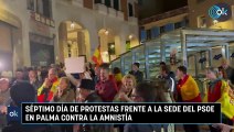Séptimo día de protestas frente a la sede del PSOE en Palma contra la amnistía