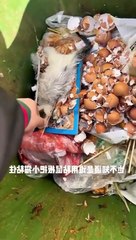 Sessizce ölümü beklerken bir dokunuşun ne güzel şeylere sebep olabileceğini gösteren kedi 