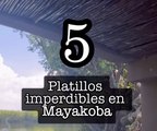 5 platillos imperdibles en Mayakoba
