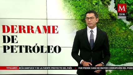 Reportan derrame de petróleo en un arroyo en Veracruz; hay animales afectados
