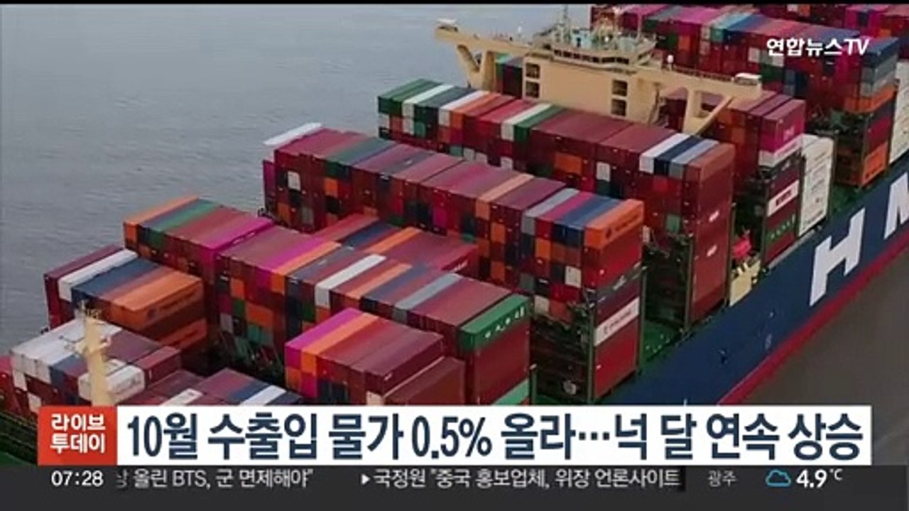 10월 수출입 물가 0.5% 올라…넉 달 연속 상승
