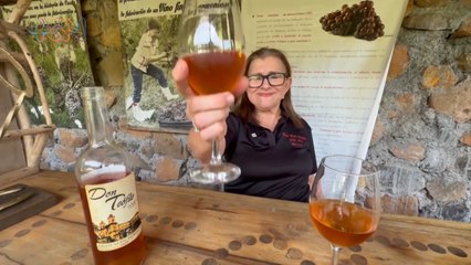 mqn-Este tour le permite conocer todo sobre el apasionante mundo del vino-131123