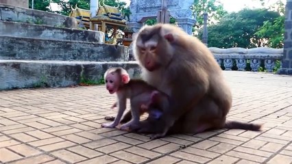 Bad Daddy!, Achoy make conflict with Albert by slapping to fall, Albert lost way for Aly mom