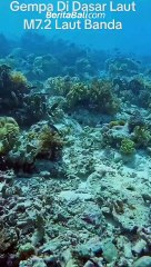 Gempa di dasar Laut M7.2 laut Banda 