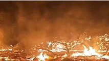 बाड़मेर: वन विभाग एरिया में लगी भीषण आग, दूर तक फैली लपटें, देखिए VIDEO