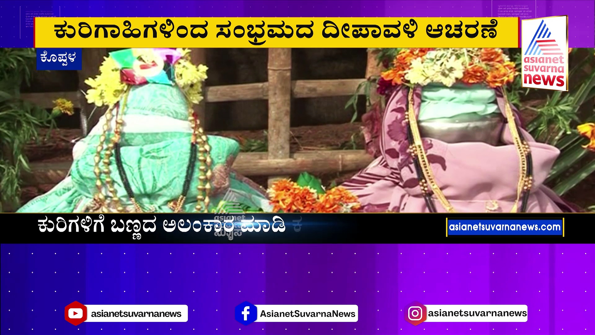 ಕುರಿಗಾಹಿಗಳಿಂದ ಸಂಭ್ರಮದ ದೀಪಾವಳಿ ಆಚರಣೆ: ಕುರಿಗಳಿಗೆ ಬಣ್ಣದ ಅಲಂಕಾರ ಮಾಡಿ ಸಡಗರ