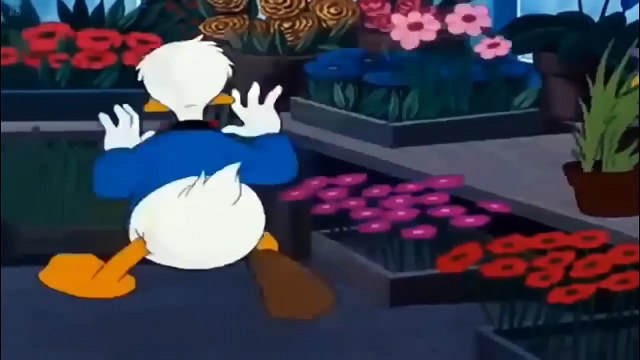 дональд дак чип и дейл мультфильм - Микки Маус, Плуто на русском все серии подряд-102