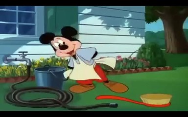 дональд дак чип и дейл мультфильм - Микки Маус, Плуто на русском все серии подряд-16