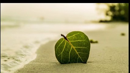 1:30 Hr. Bedtime Music, Insomnia Music, Healing Music | Sparkle and Thrills