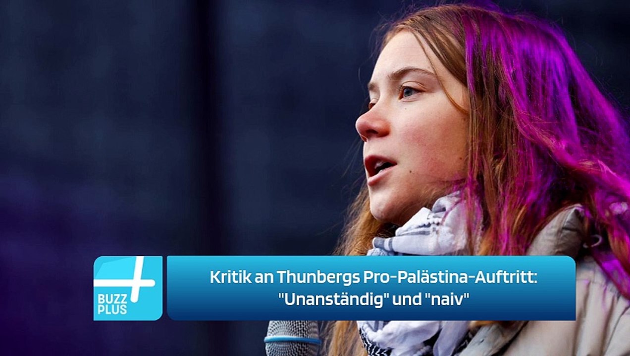 Kritik an Thunbergs Pro-Palästina-Auftritt: 'Unanständig' und 'naiv'