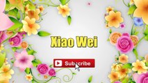 Xiao Wei - Huang Pin Yuan #lyrics #lyricsvideo #singalong