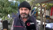 Depremin Vurduğu Hatay'da Gürgen Ailesi Kamış Sepetleriyle Geçim Sağlıyor