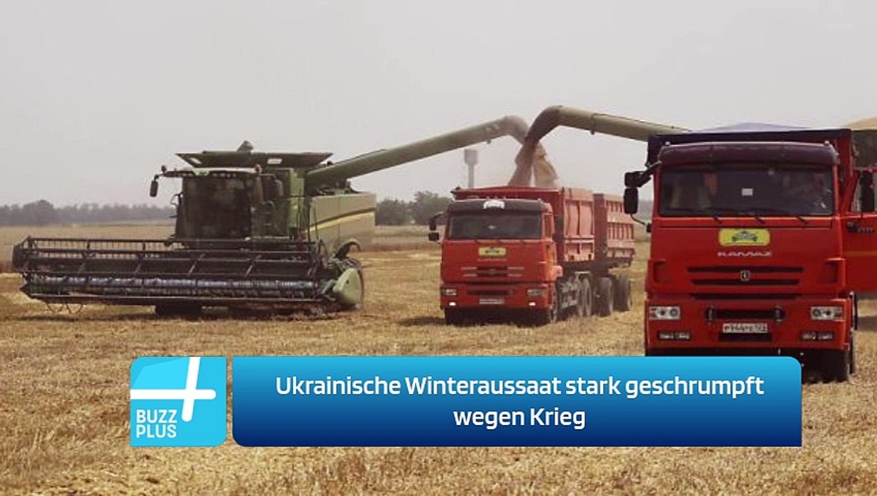 Ukrainische Winteraussaat stark geschrumpft wegen Krieg