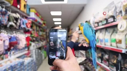 Elazığ'da Güzelliği ve Fiyatıyla Dikkat Çeken 'Dayı' Lakaplı Macaw Türü Papağan