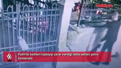 Kedileri toplayıp çantasına koyan şüphelinin evinden kan donduran detay çıktı