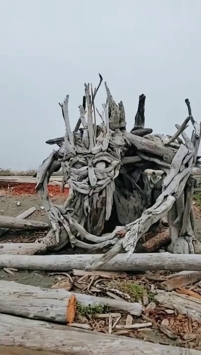 Groot or Treebeard