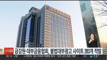 금감원·대부금융협회, 불법대부광고 사이트 283개 적발