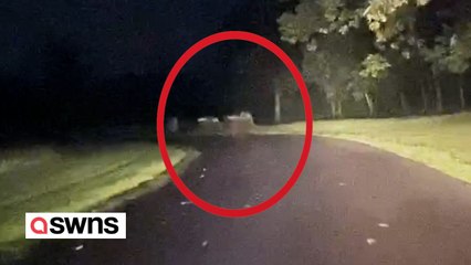 Erschreckendes Video scheint Erscheinungen von Soldaten in Gettysburg zu zeigen