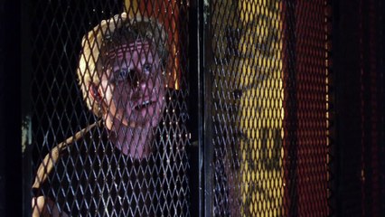 Un Extraño en la Casa 1989 Español Latino - Hider in the House