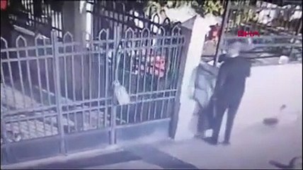 Fatih'te çantasına kedi koyan kişinin evinden 'vahşet' çıktı