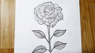 How to draw a Flower Step by Step _ Flower Drawing Lesson (1)