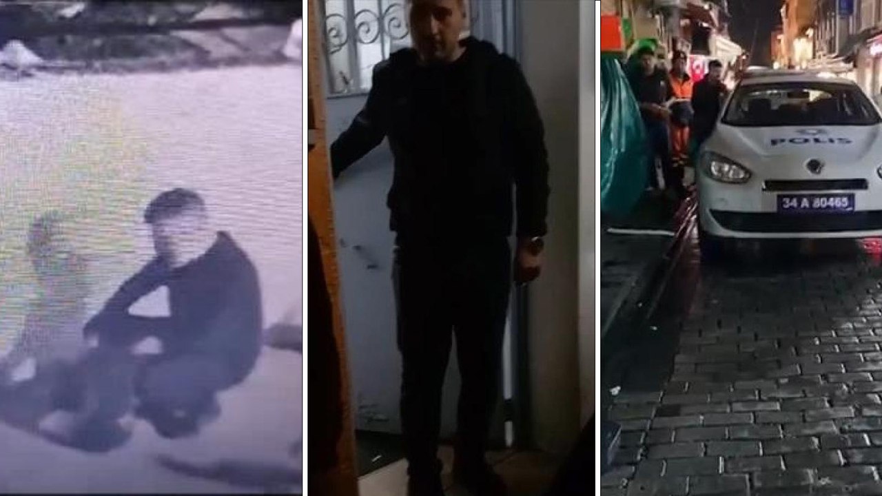 Fatih'te çantasına kedi koyarak giden şüphelinin evinde 8 ölü kedi bulundu