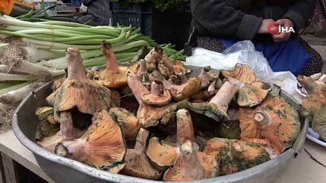 Bolu'da doğal olarak yetişiyor, yoğun ilgi görüyor ve para kazandırıyor: Tam bir protein ve vitamin zengini!