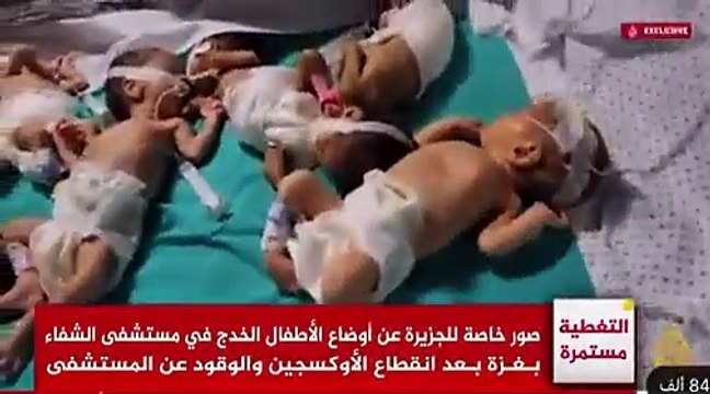 Premature babies at al-Shifa Hospitals cry desperately for help
