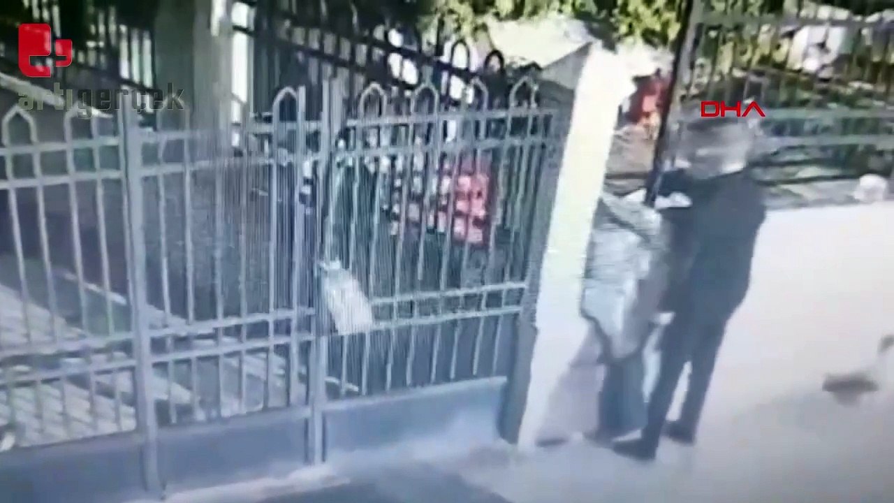 Çantasına kedi koyarak giden şüphelinin evinde 8 ölü kedi bulundu