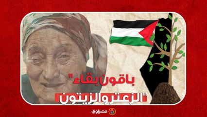 "باقون بقاء الزعتر والزيتون"... ما السر في هذه الجملة الفلسطينية؟