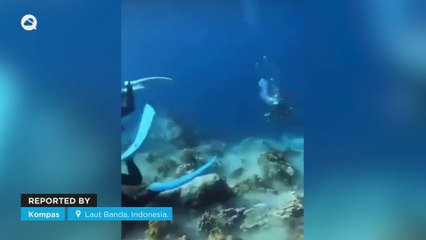The incredible effects of an earthquake under the sea in Laut Banda, Indonesia.