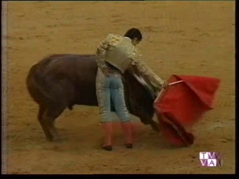 TARDE DE TOROS-JOSE TOMAS-JOSELITO-VICTOR PUERTO-VALLADOLID-2.09.98-4º ABONO
