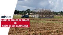 Casas de secado de tabaco vs casas de los campesinos