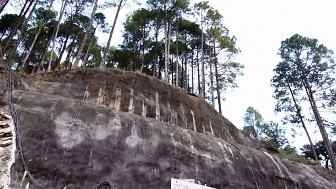 فرق الانقاذ في الهند تجهد لاخراج 40 عاملا عالقين داخل نفق منهار