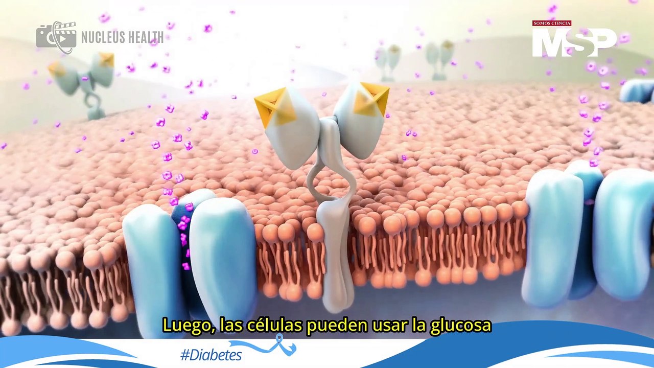 ¿Qué es la diabetes gestacional y cómo funciona en mamá o bebé? - #ExclusivoMSP