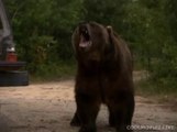 Grizzly Rage 2007 Hindi Dubbed Hollywood Movie Horror Thriller