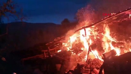 Tokat'ta Ahır Yangınında 50 Koyun Öldü