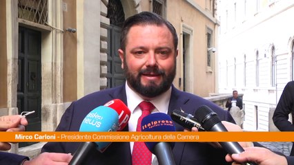 Carloni "Il biometano è un'opportunità per le imprese agricole"