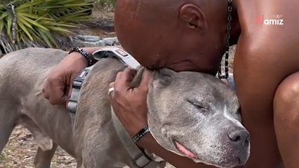 Sie sind 10 Jahre lang getrennt: 73.000 Menschen brechen bei ihrem Wiedersehen in Tränen aus (Video)