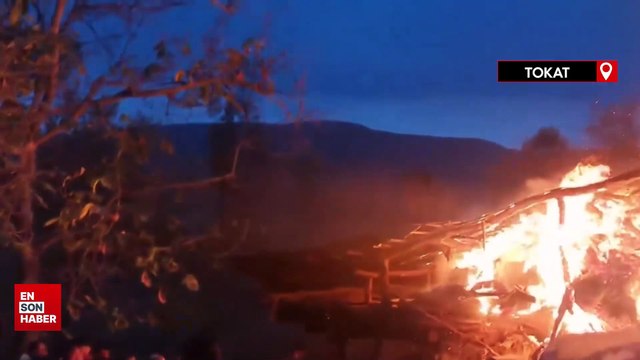 Tokat'ta ahır yangınında 50 koyun telef oldu