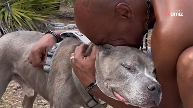 Affida il suo cane a una famiglia per 10 anni: quanta emozione quando si ritrovano! (Video)