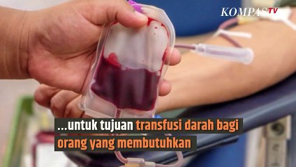Benarkah Orang yang Bertato Tidak Bisa Donor Darah? | SINAU