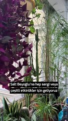 Salt Beyoğlu Kış Bahçesi