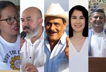 ¡Hasta el perico quiere! 6 buscan diputación federal por Morena