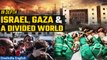 Israel, Gaza, and the Divisions Beyond | Navigating the Complexities | IN DEPTH | Oneindia News