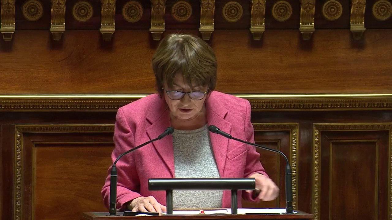 Loi immigration: « Votre texte reprend consciencieusement les propositions du Front national »